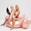 Giant Swan Watermelon Floats Pineapple Flamingo Swimming Ring Unicorn