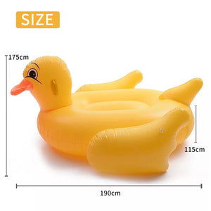 New Cool 190cm Super Large Black Swan Swimming Inflatable Floating Row